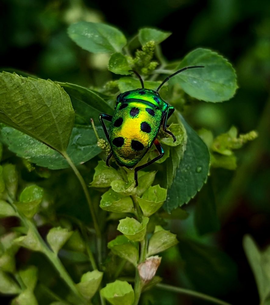 Photograph by SARAVANA MANICKAM