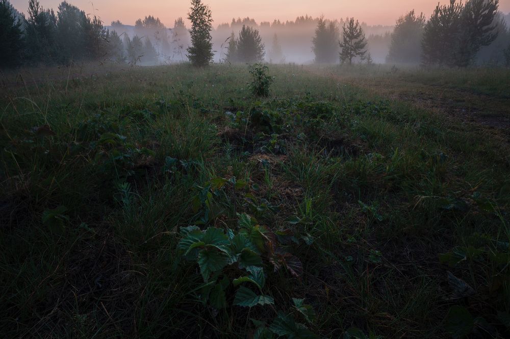 Photograph by Ivan Fedyanin