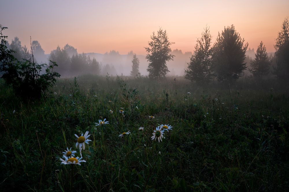 Photograph by Ivan Fedyanin