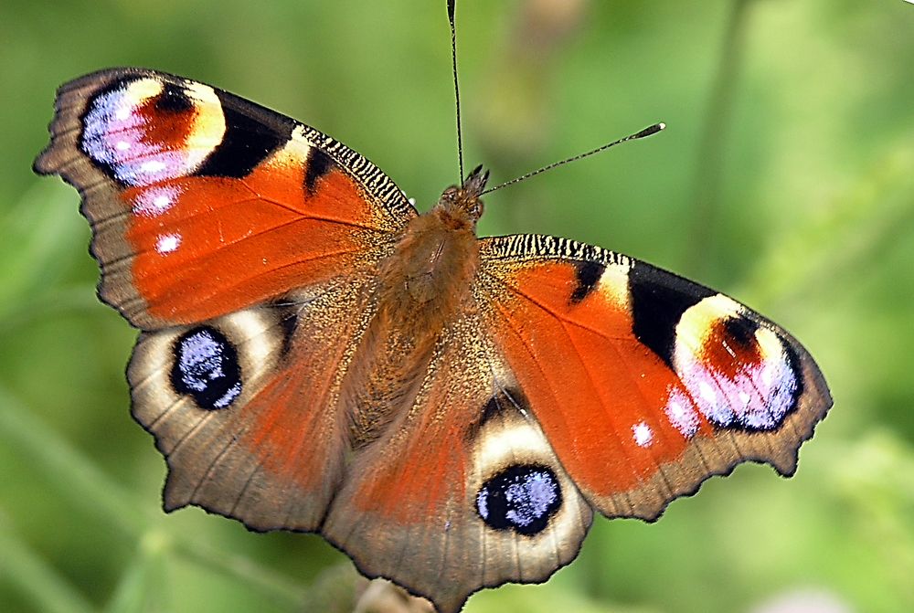Photograph by Владимир Кривенко
