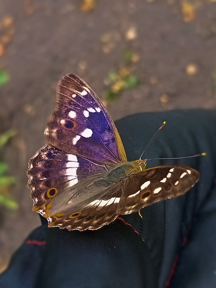 Photograph by Анна Кудинкина