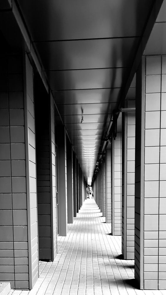 Photograph by Аверьянова Наталья