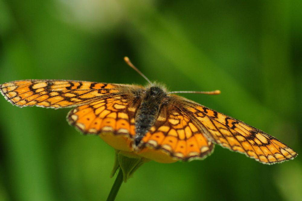 Photograph by Николай Абрамов