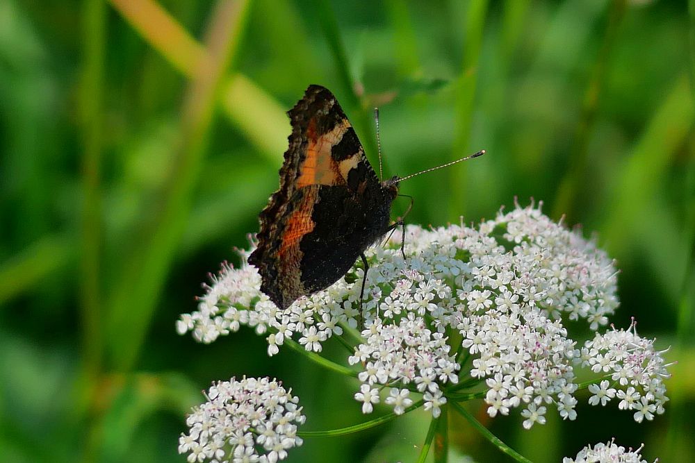 Photograph by Александр Пинаев