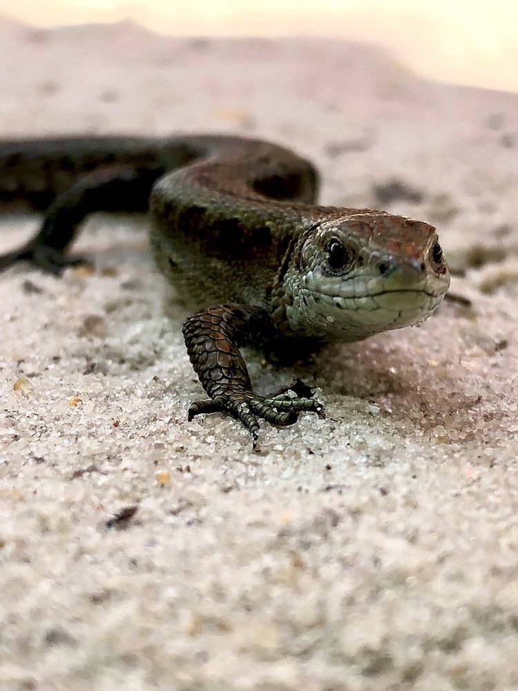 Фотография автора Евгения Елисеева