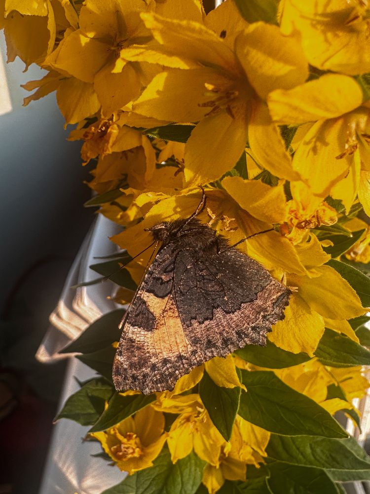 Photograph by Екатерина Слепнева