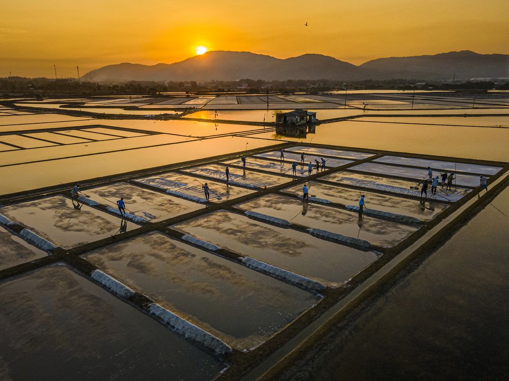 Cào muối lúc Hừng Đông