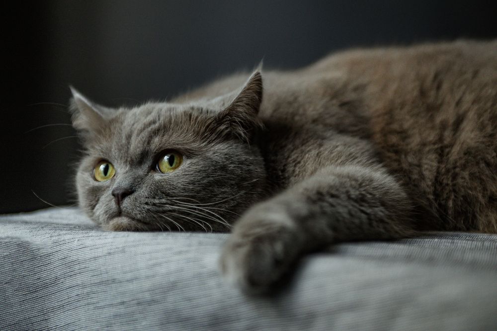 Photograph by Наталия Александрова