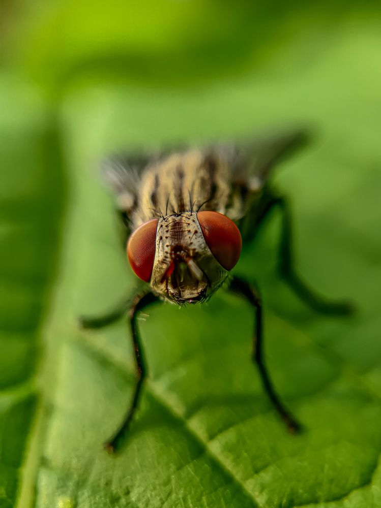 Фотография автора Nikhil Power