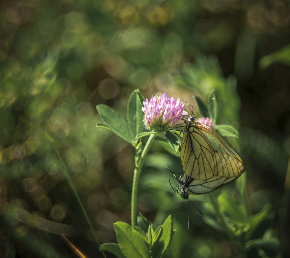 Photograph by 