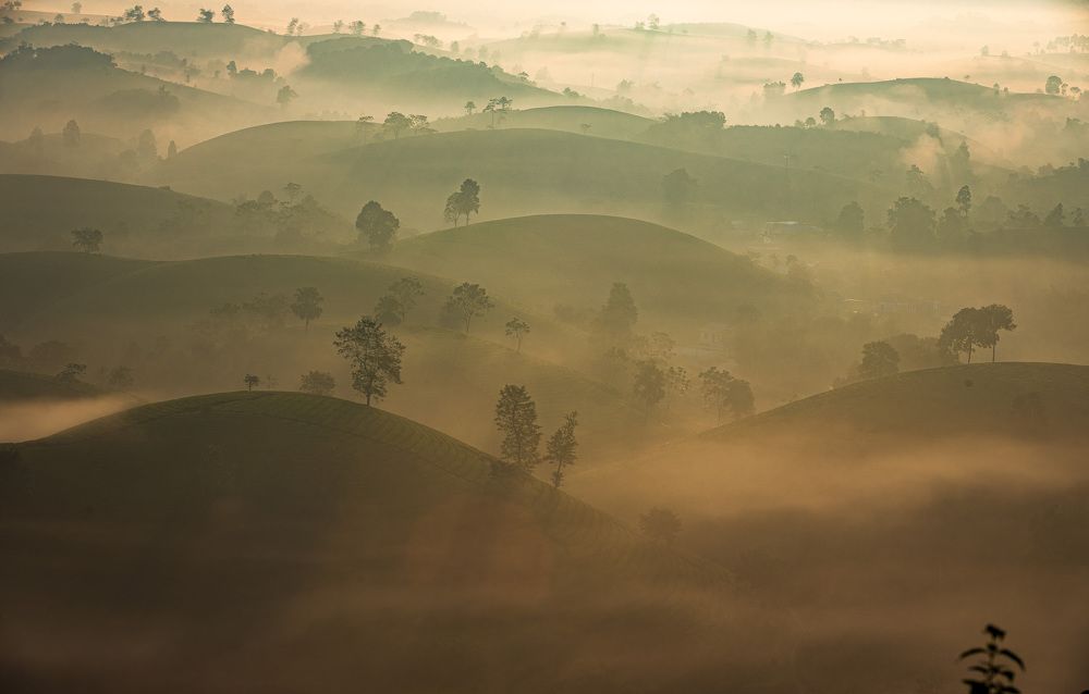 Photograph by Hanh P. T. Pham