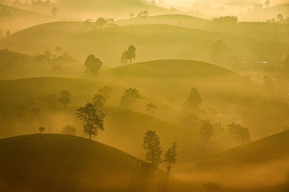 Photograph by Hanh P. T. Pham