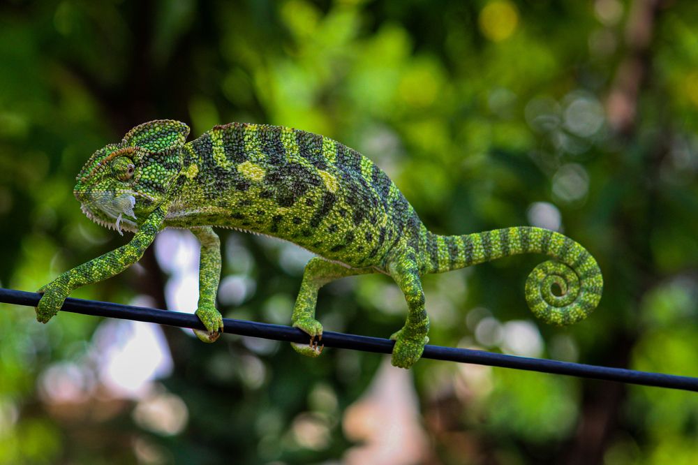 Photograph by Nikhil Power