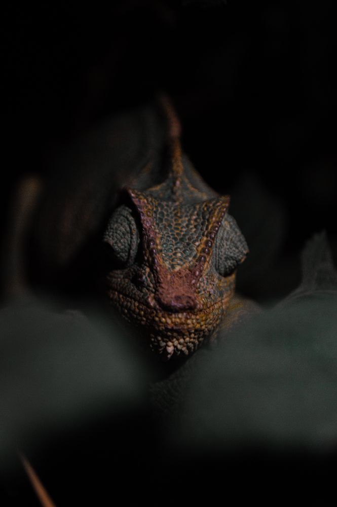 Photograph by rachid bendhiba