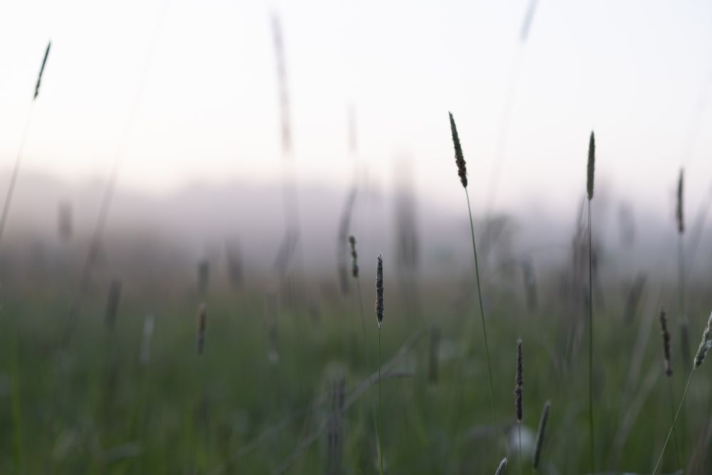 Photograph by Каролина