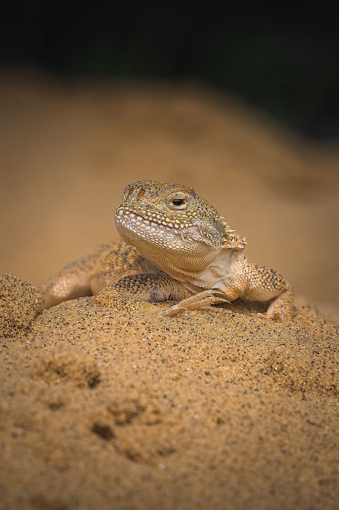 Photograph by Дмитров Андрей