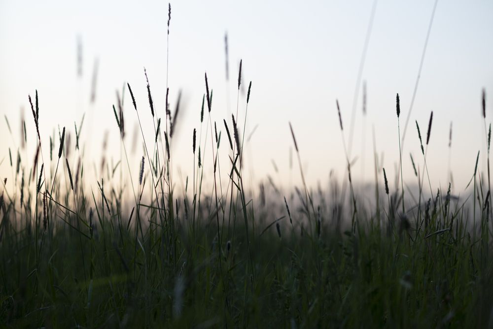 Photograph by Каролина