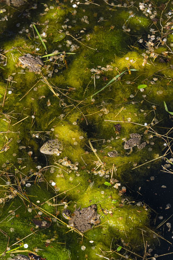 Photograph by Дмитров Андрей