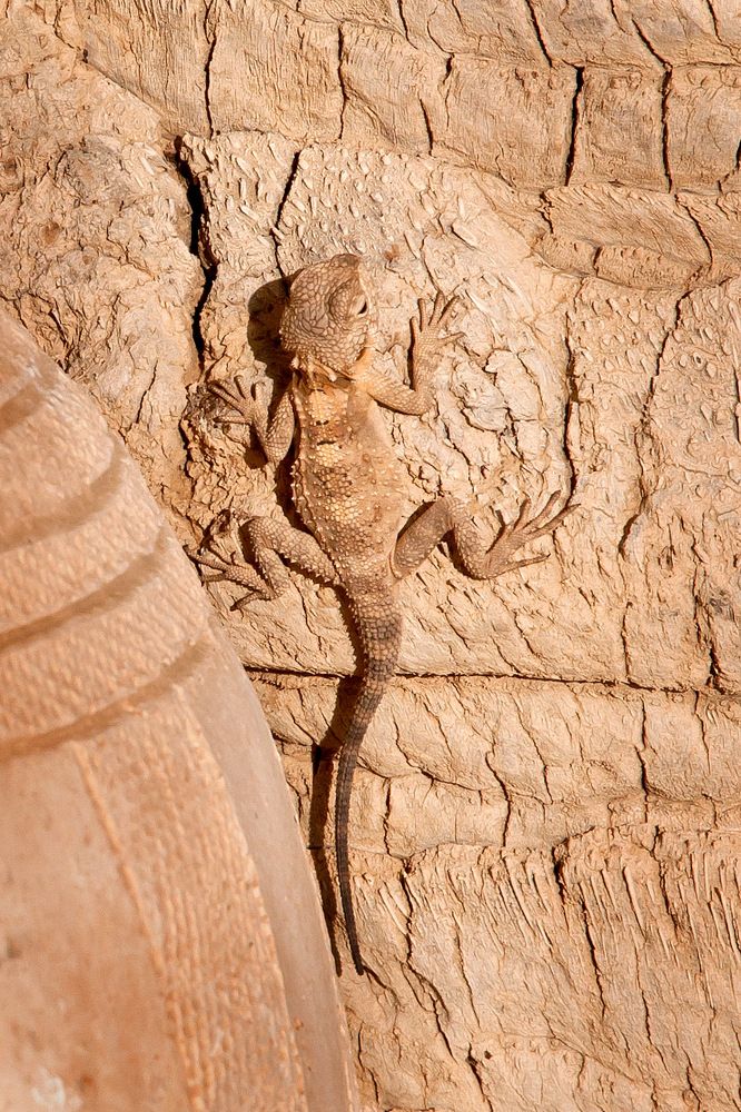 Photograph by Alexandr Makarenko