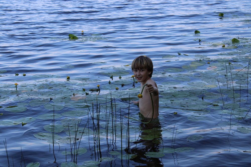 Photograph by Лесиканич Ирина