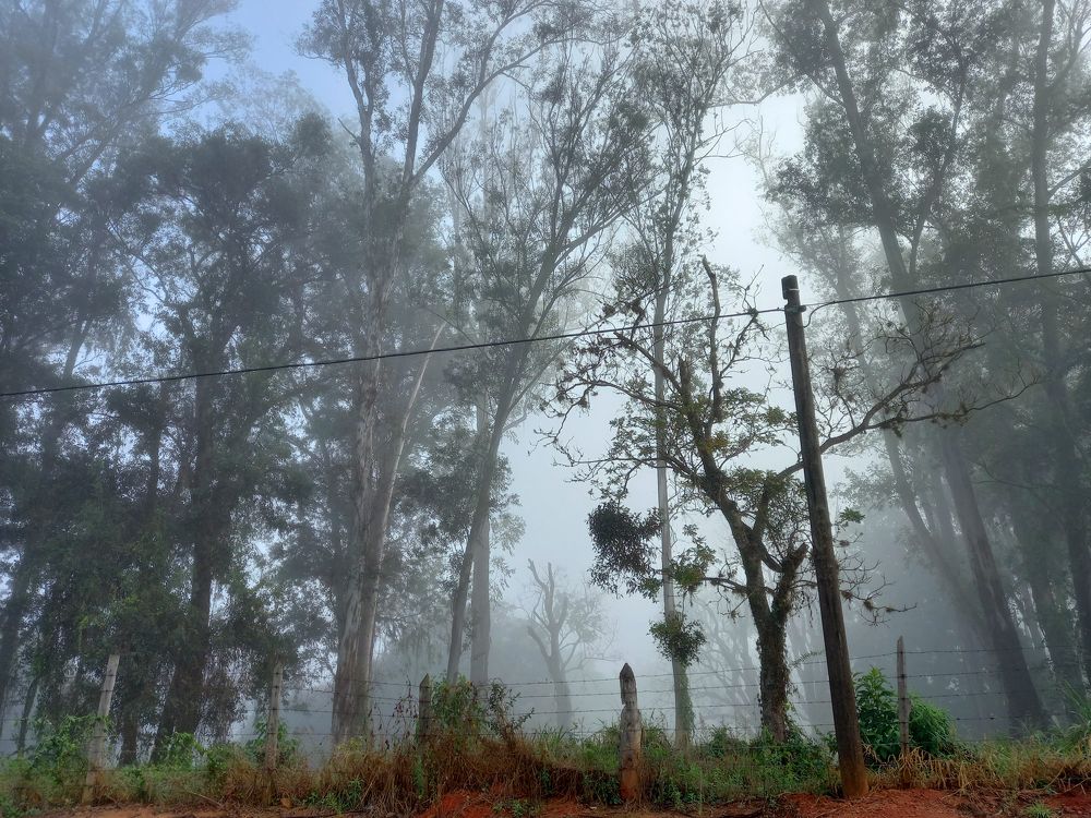 Photograph by Silvia Ferrante