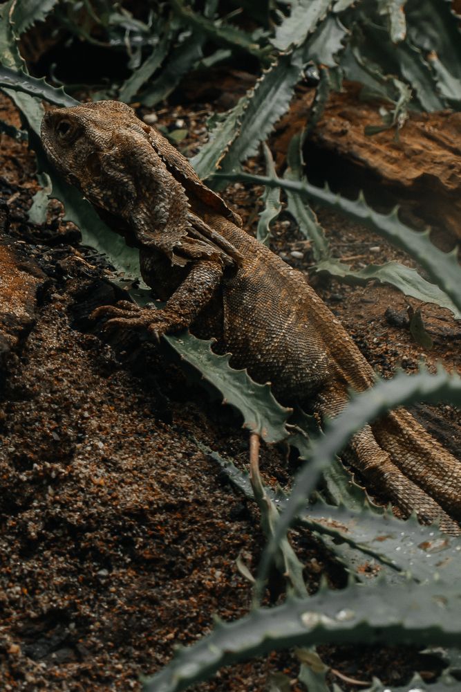 Photograph by Artem Mezhuev