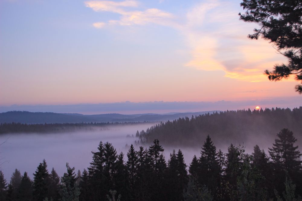 Photograph by Lev Kaufman