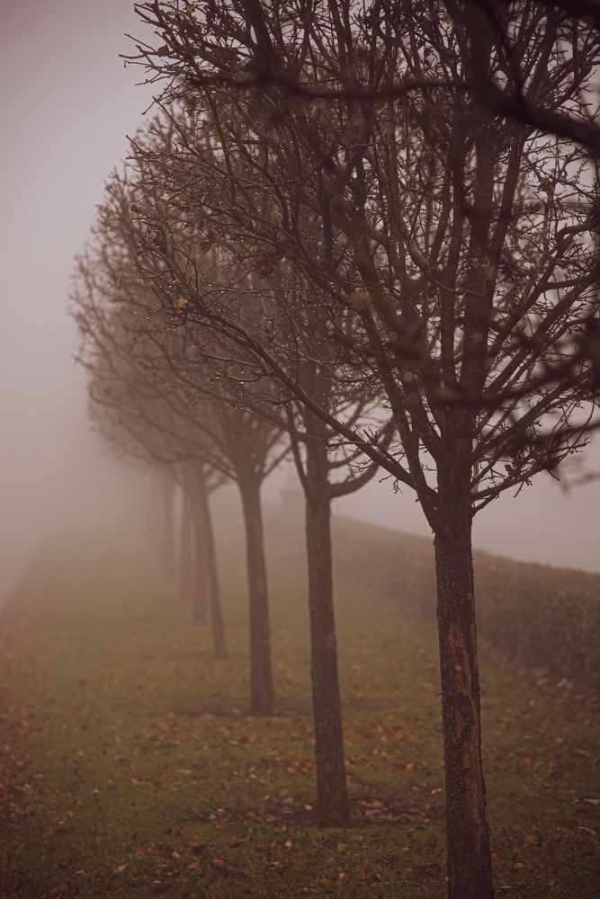 Photograph by Гаяне Мартиросян