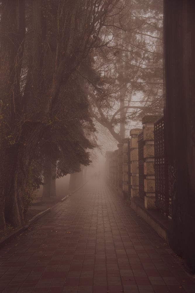 Photograph by Гаяне Мартиросян