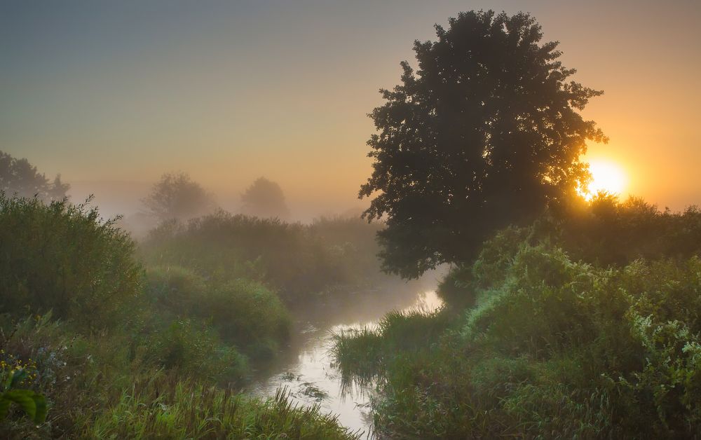Photograph by Александр Чибиркин