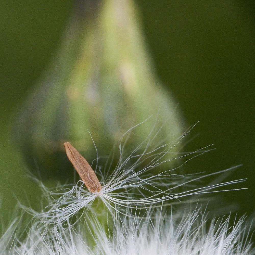 Photograph by Игорь Зиновьев