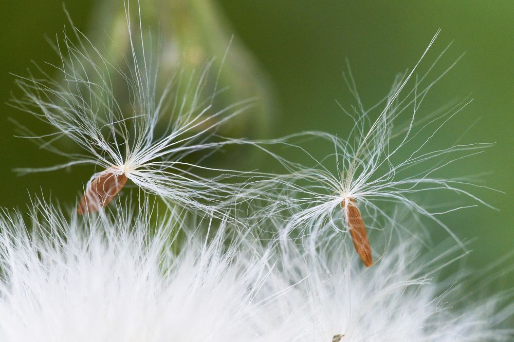 Photograph by Игорь Зиновьев