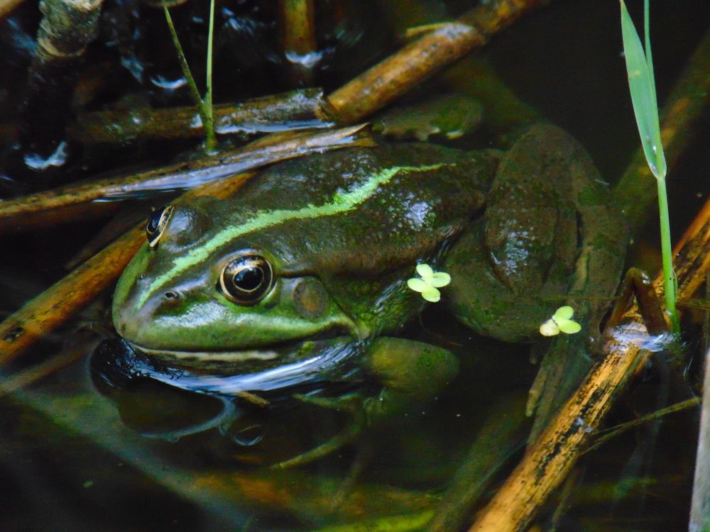 Photograph by Ольга Шевцова