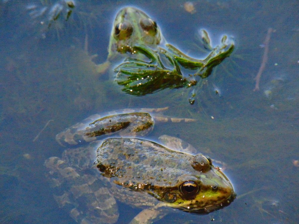 Photograph by Ольга Шевцова