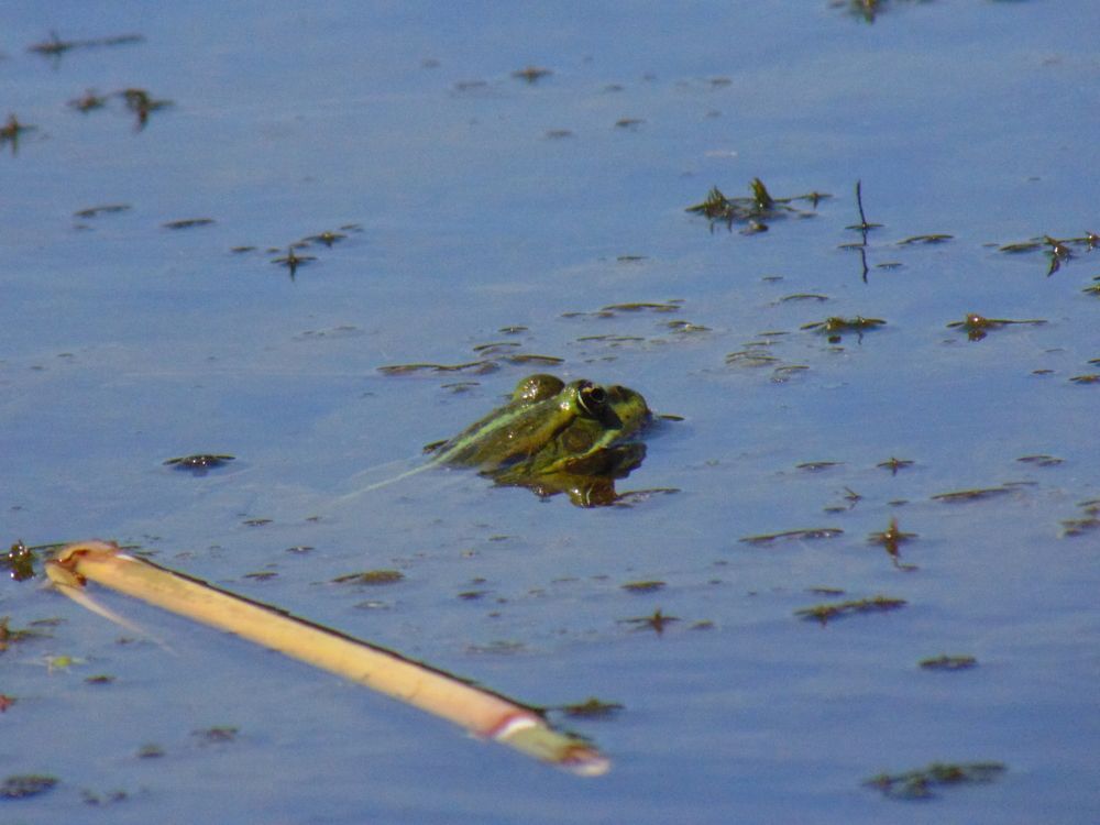 Photograph by Ольга Шевцова