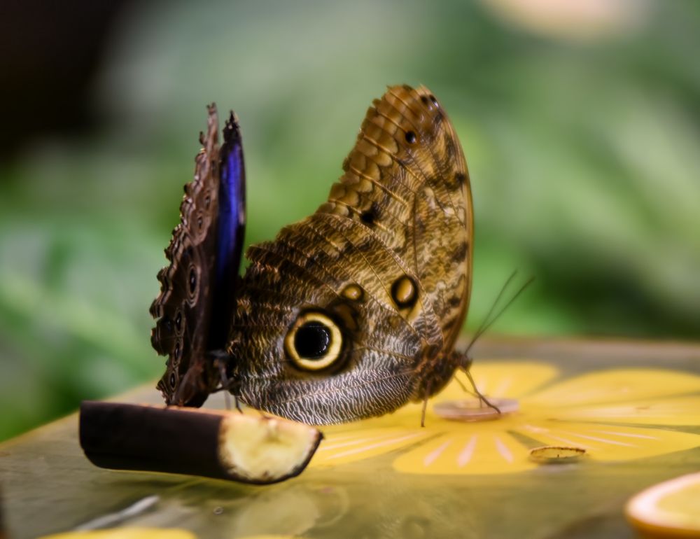 Photograph by Владислав Кравцов