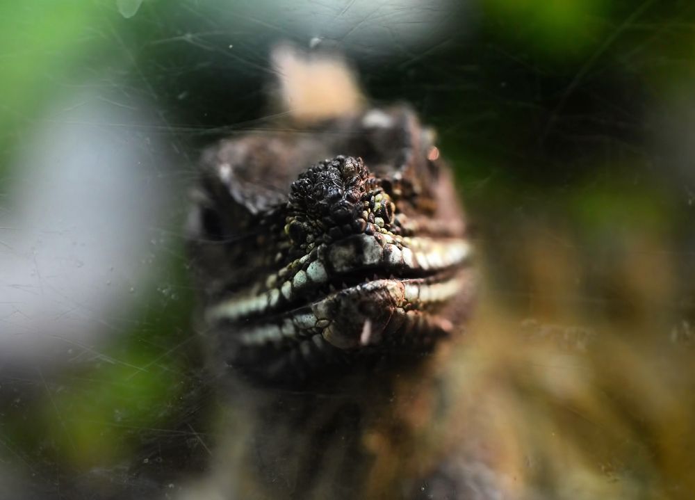 Photograph by Владислав Кравцов