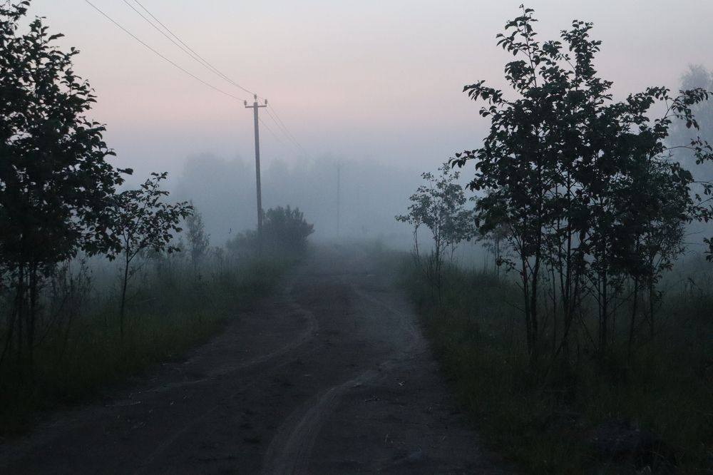 Photograph by Дмитрий Романов