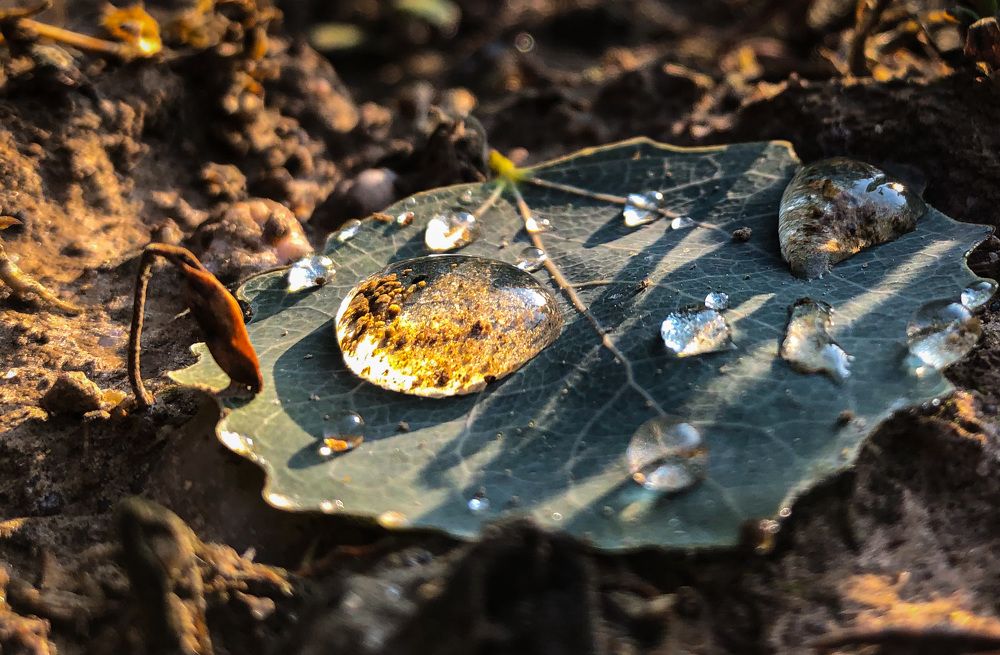 Photograph by Светлана Гринкевич