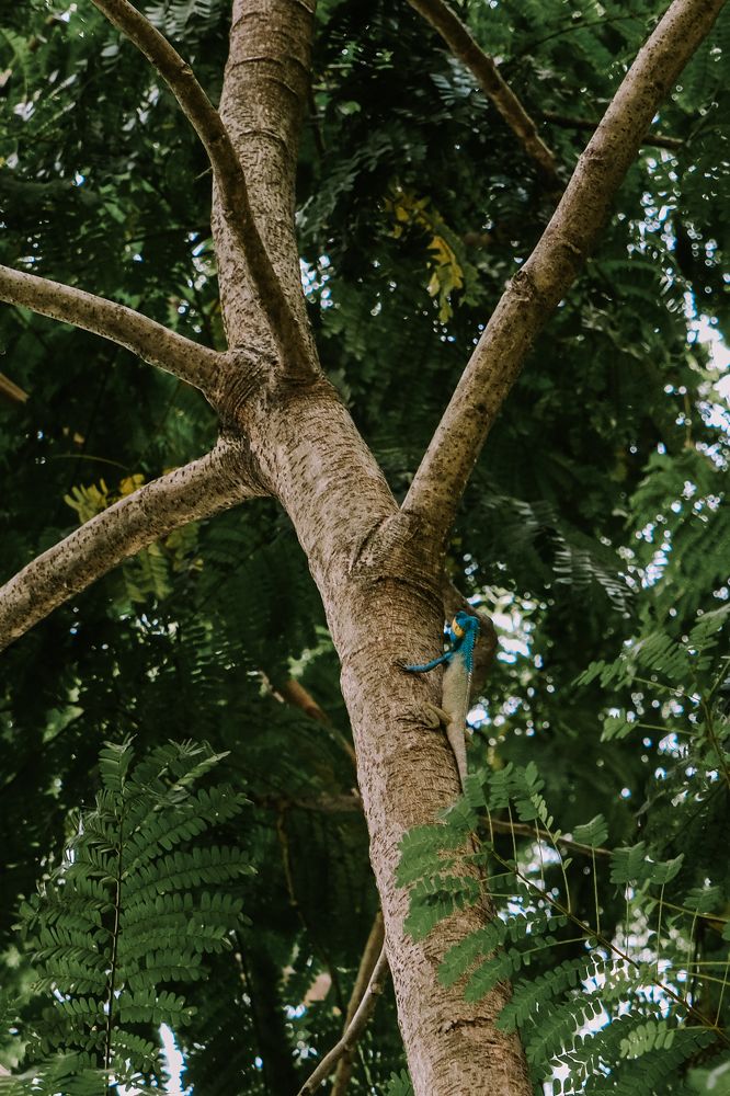 Photograph by Ngọc Phú Nguyễn