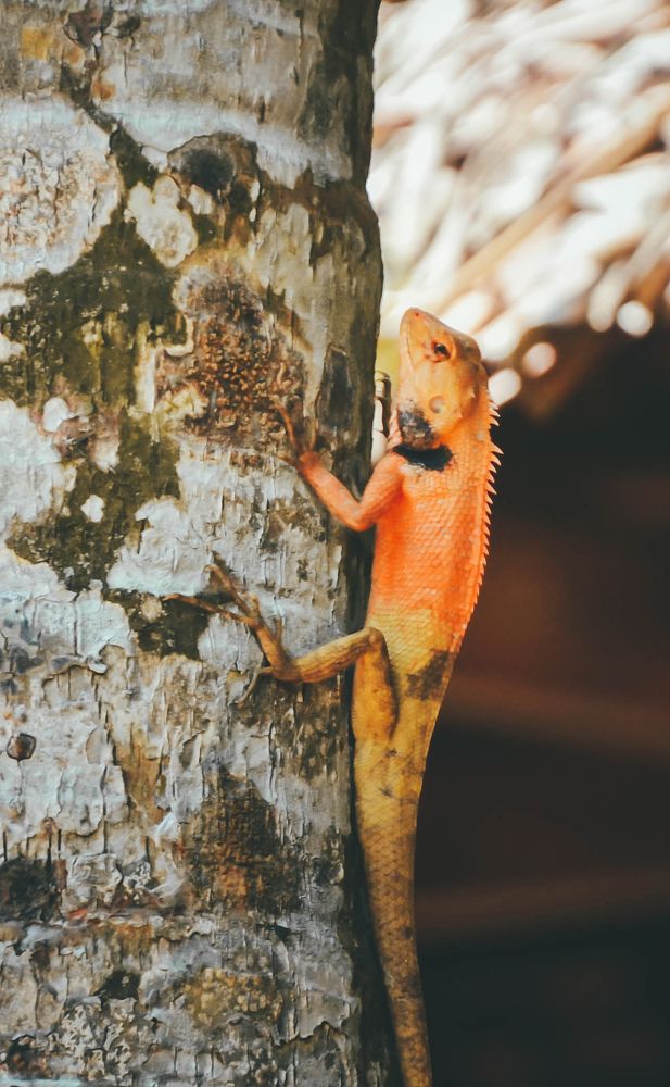 Photograph by Ngọc Phú Nguyễn