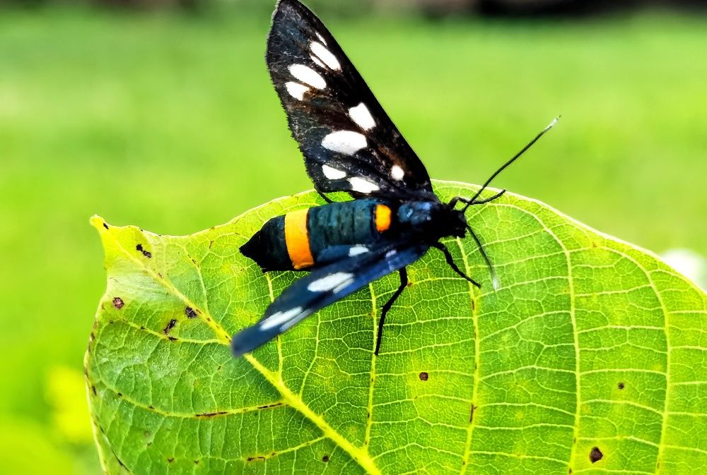 Photograph by Alen Brkić