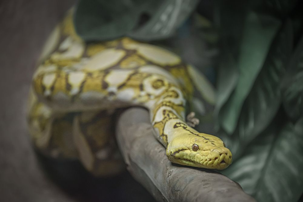 Photograph by Aлена Плясова