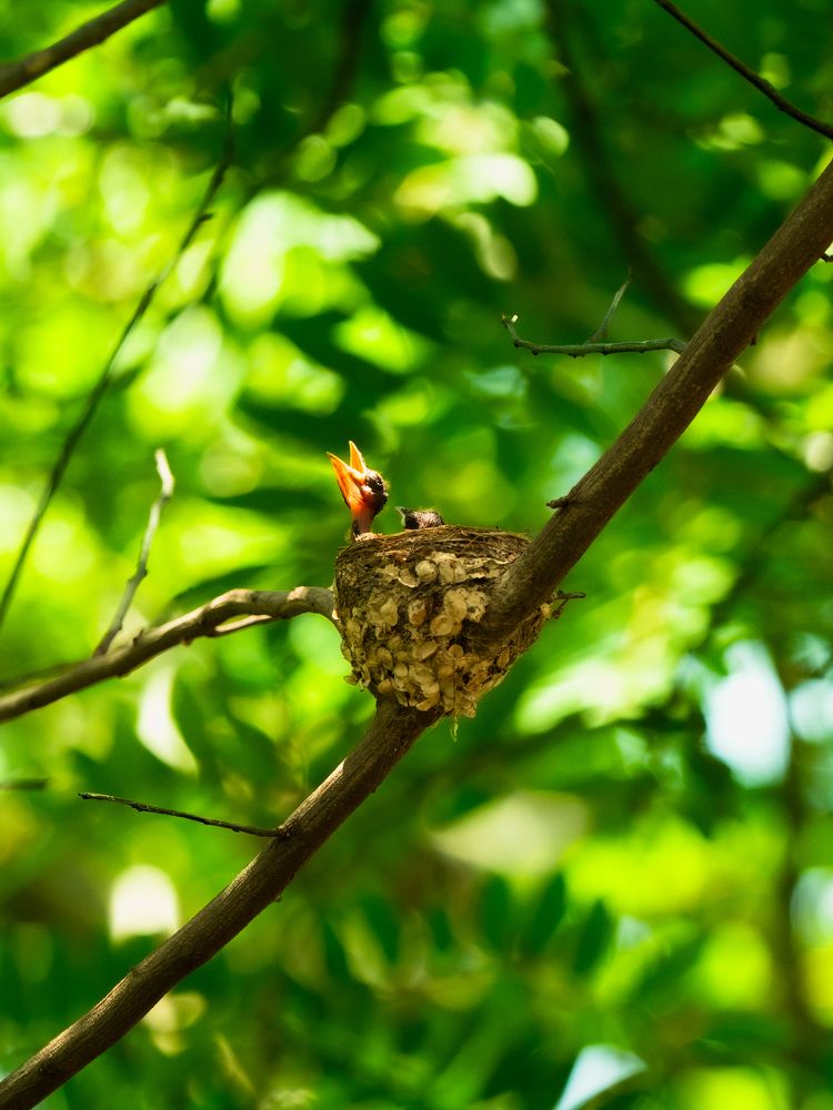 Фотография автора Arpit Dhore