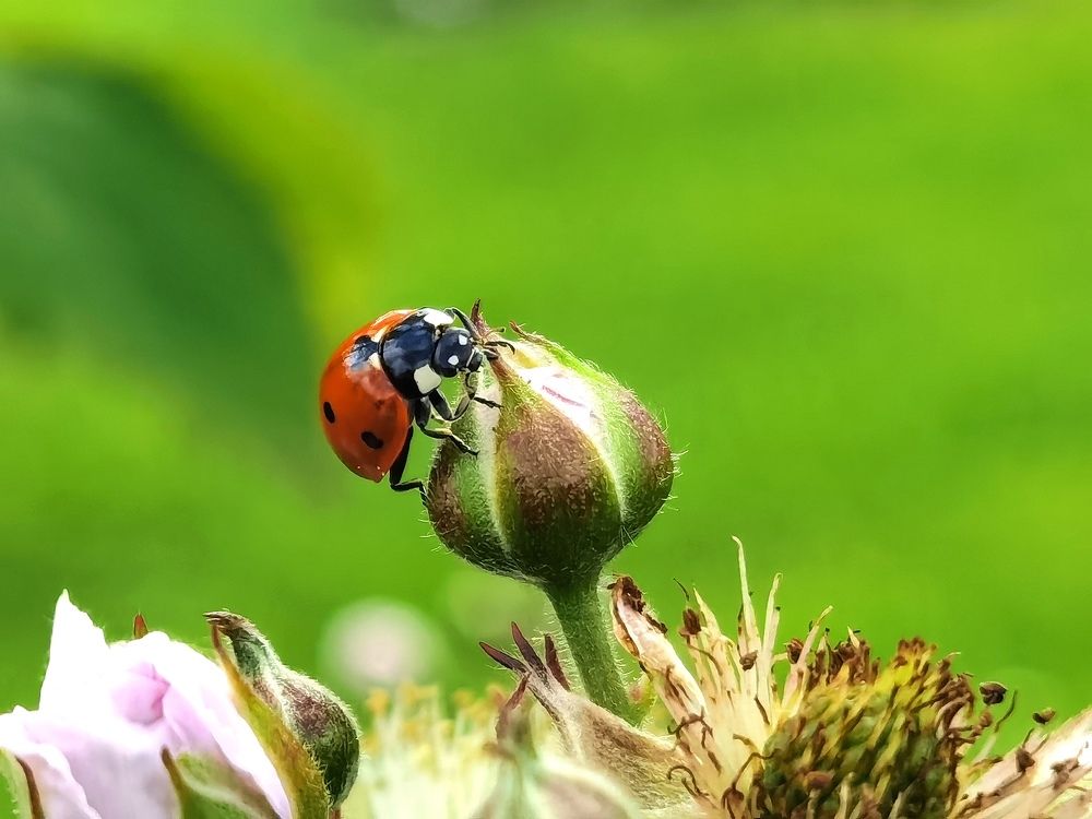 Photograph by Alen Brkić