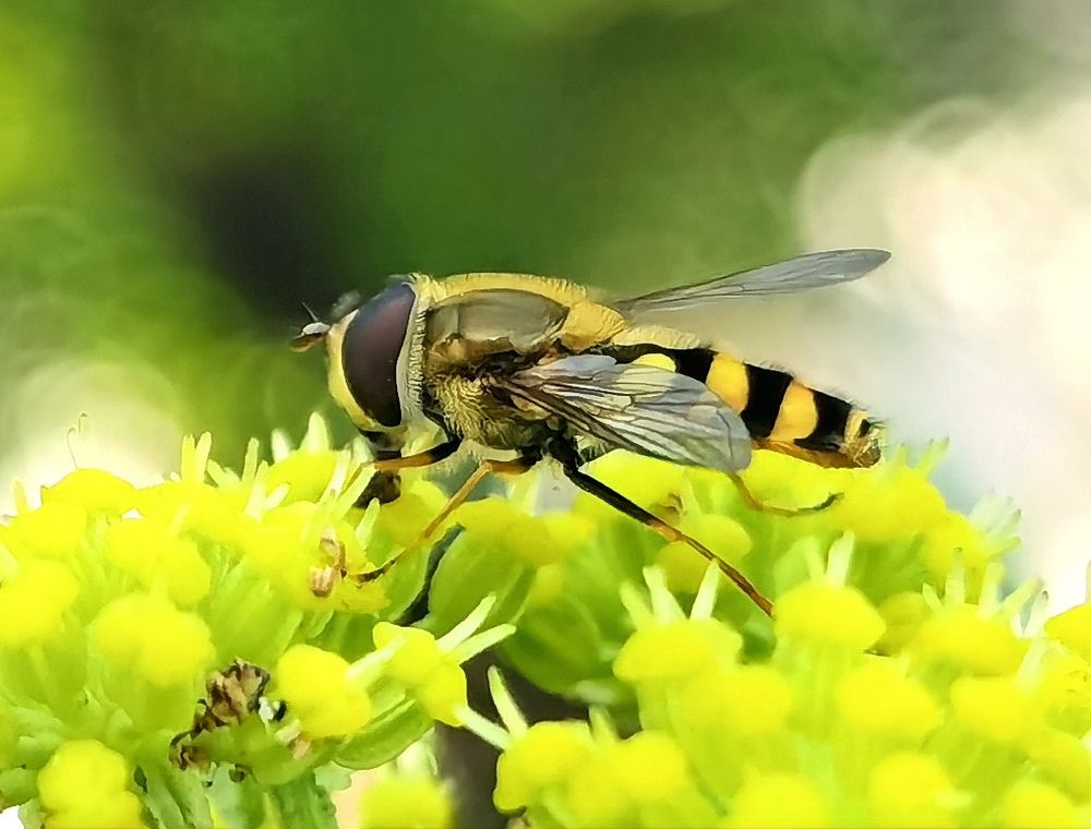 Photograph by Alen Brkić