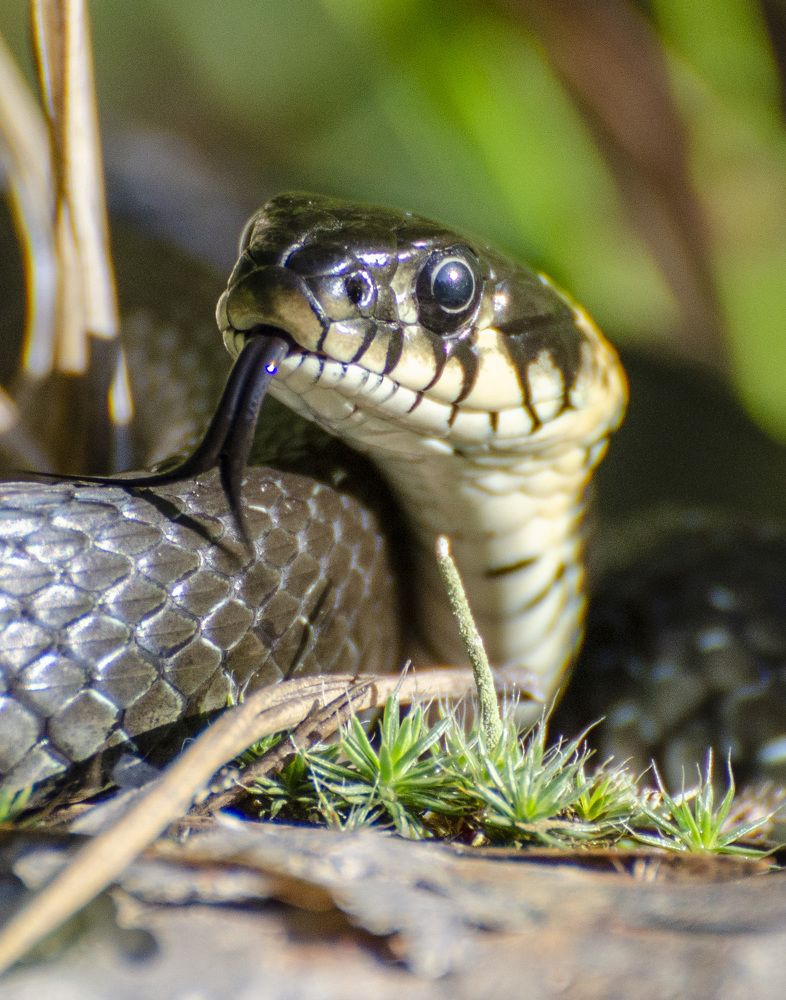 Photograph by Роман Кудрявцев