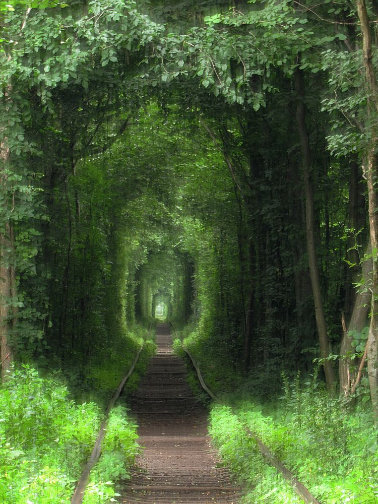 Photograph by Светлана Шмигельская