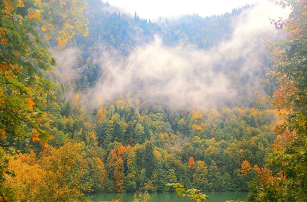 Photograph by Виктория Зотова