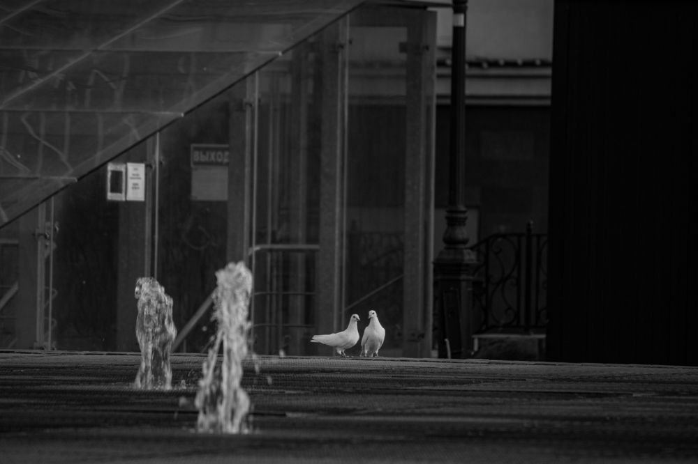 Photograph by Владислав Капанов